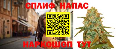 СК Камышлов
