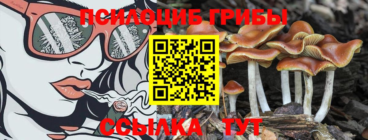 Кувандык  Галлюциногенные грибы MAGIC MUSHROOMS  Вход с VPN 